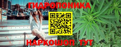 spice Краснознаменск