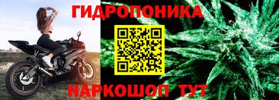 шишки Краснодар